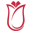 Logo Türkiye Bursları